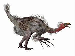 Limbs: Side profile of a Therizinosaurus dinosaur