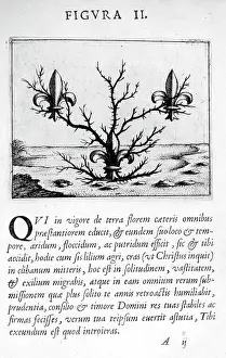 Destined: The Prognostications (Prophecies) of Paracelsus