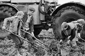 Nephew: Progress collective farm