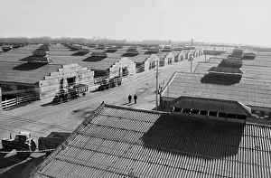 Shulepov: Progress Interfarm complex