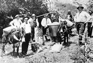 Donkeys: Prohibition: Confiscated still in Colorado, 1927