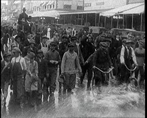 Liquor: Prohibition Scenes in the United States Of