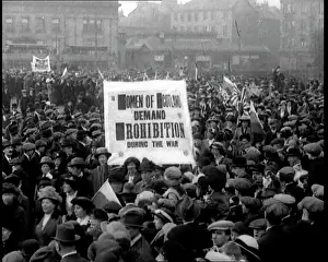 Prohibitionist: Prohibitionist Movement