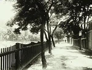 Promenades: Promenade along the river Wien