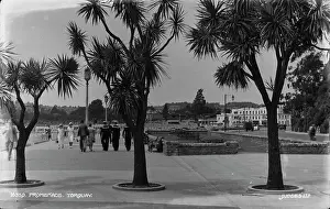 Torquay: Promenade in Torquay