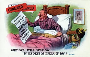Birdie: Propaganda cartoon - The Kaiser shocked at War Developments
