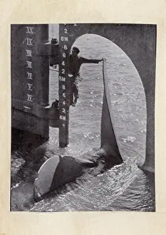 Hinges: Propeller and rudder of large ship