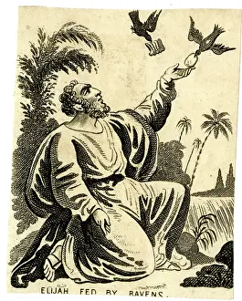Elijah: The prophet Elijah fed by ravens