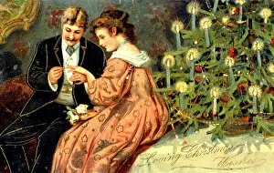 Proposal: Proposal under the Christmas tree