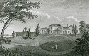 Levy: PROSPECT PLACE, Surrey