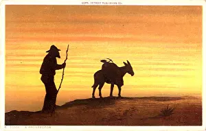 Prospector: Prospector and Mule