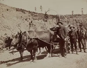 Lcgr1711: Five prospectors setting out to the South Dakota