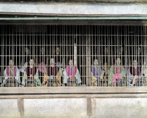 Prostitute: Prostitutes on display, Japan