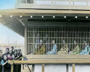 Prostitute: Prostitutes on display, Japan