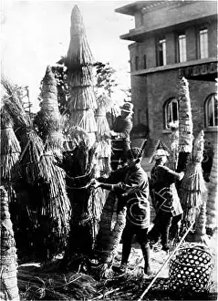Impending: PROTECTING TREES