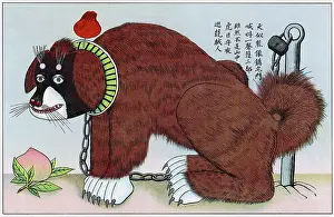 Protects: Protective chinese dog