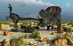 A Protoceratops biting the tail of an attacking Velociraptor