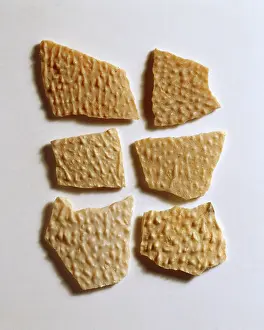 Frilled: Protoceratops eggshell