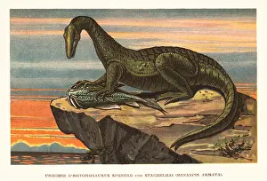 F. John: Protorosaurus speneri feeding on a Menaspis armata