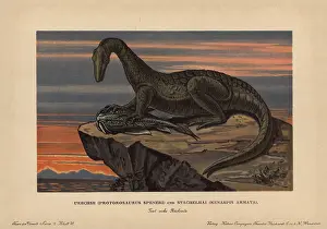 Cartilaginous: Protorosaurus speneri, a lizard-like reptile