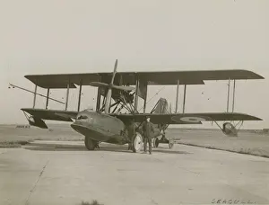 Seagull: Prototype Supermarine Seagull N146