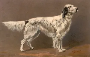 Proudly: Proud English Setter