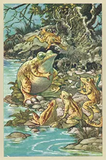Folkard: PROUD FROG (FOLKARD)