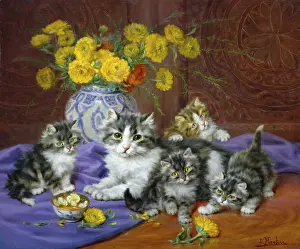 Marigolds: A Proud Mother – cat and kittens