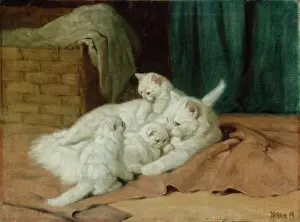 Heyer: The Proud Mother ' white cat & kittens