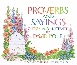 Sayings: Proverbs and Sayings