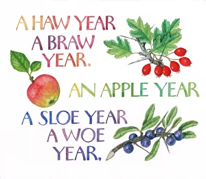Sayings: Proverbs and Sayings