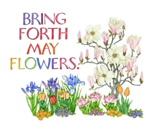 Sayings: Proverbs and Sayings