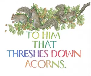 Sayings: Proverbs and Sayings