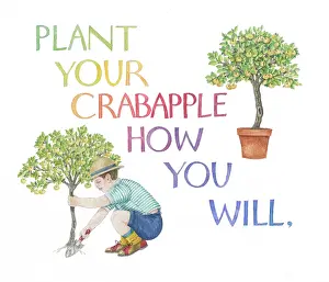 Sayings: Proverbs and Sayings