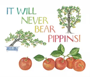 Sayings: Proverbs and Sayings