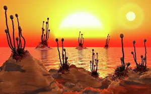 Orbit: Proxima b planet orbiting the Proxima Centauri