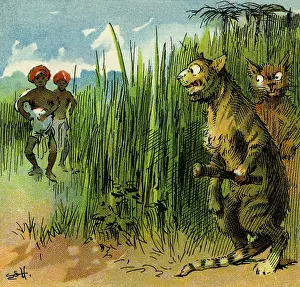 Prudent: The Prudent Tiger