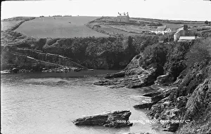 Cows: Prussia Cove, Cornwall