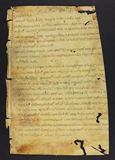 Ucl Library Services Digital Collections: Psalter (Fragment)