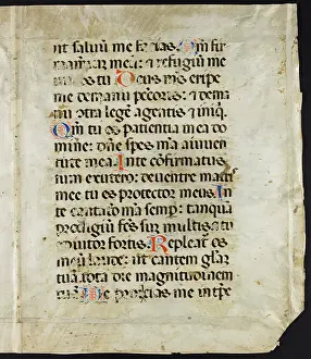 Larger: Psalter (Fragments)