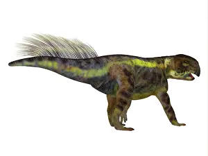Ceratopsian: Psittacosaurus dinosaur, side profile