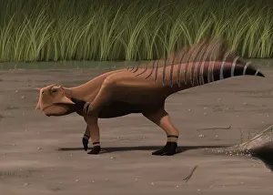 Psittacosaurid: Psittacosaurus sibiricus in a prehistoric landscape