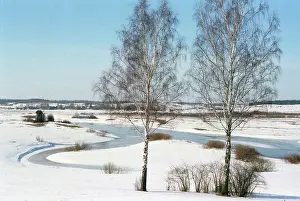 Mikhailovskoye: Pskov scenery, 1986