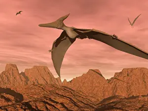 Mid Air: Three pteranodon dinosaurs flying above rocky landscape