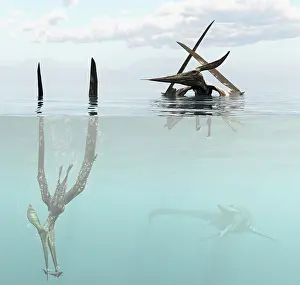 Pteranodon: Pteranodon pterosaur diving underwater hunting for fish