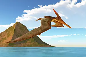 Pteranodon: A Pteranodon reptile looks for prey during the
