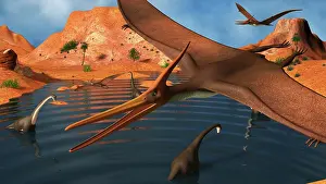 Pteranodon: Pteranodon reptiles flying over a group of Brachiosaurus