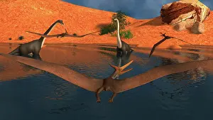 Pteranodon: Pteranodon reptiles flying over a group of Brachiosaurus