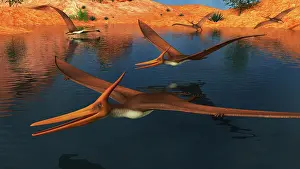 Searching: Pteranodon reptiles searching for food in a lake