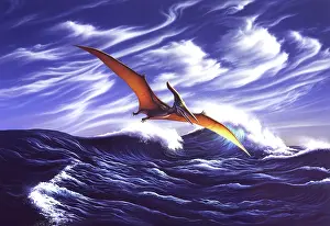Pteranodon: A Pteranodon soars just above the waves